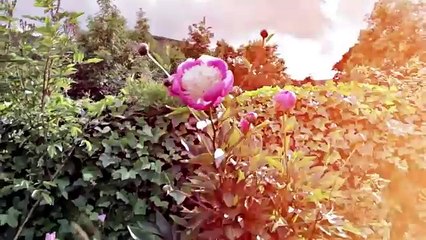 Don't let Her Leave Islam ᴴᴰ - [Powerful Short Film]