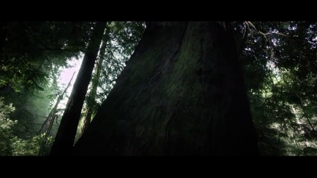 Big Sur - Extrait VO