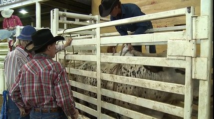 Dallas Buyers Club - Making Of (1) VO