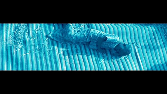 Blue Bird VO(sous-titré anglais) - Ext 2