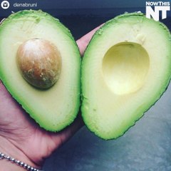 Our obsession with Avocado is causing deforestation in Mexico