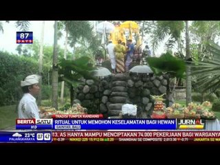 Tumpek Kandang, Doakan Keselamatan bagi Satwa