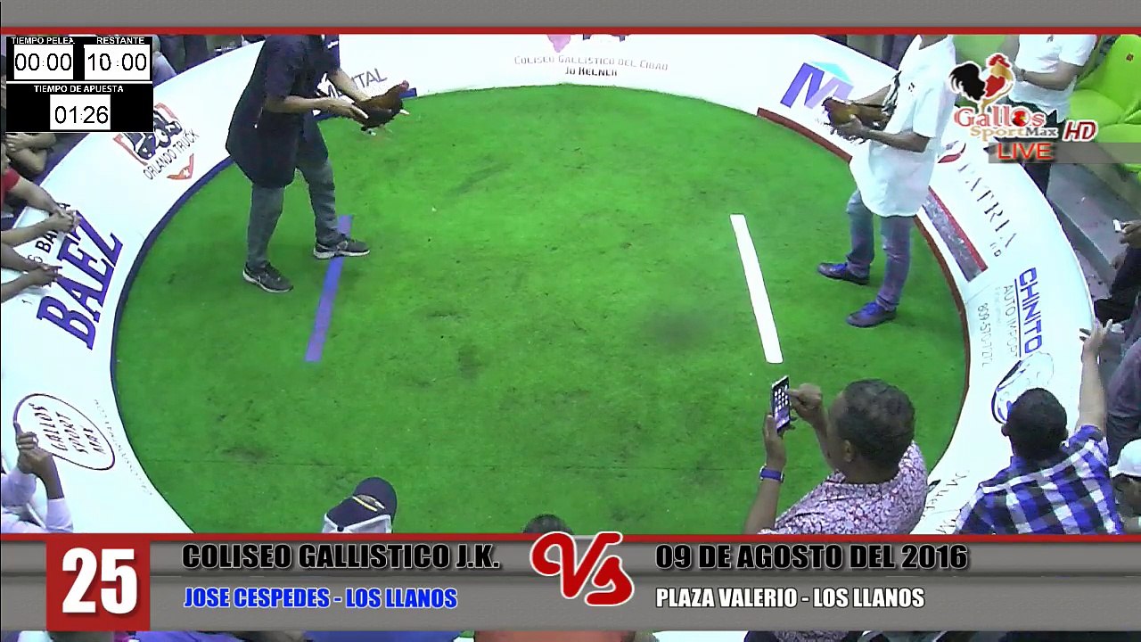 pelea 25-09
