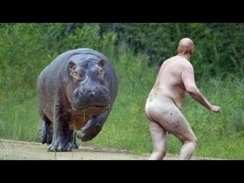 video super drole - compilation tres marrante video de rire 2016 - essayer de ne pas rire