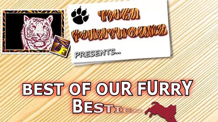 Dogs, man's best and funniest friends - funny dog compilation