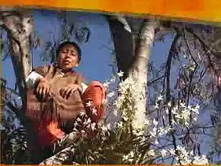 15. Chocholtecos (Oaxaca). Recuperando nuestra lengua