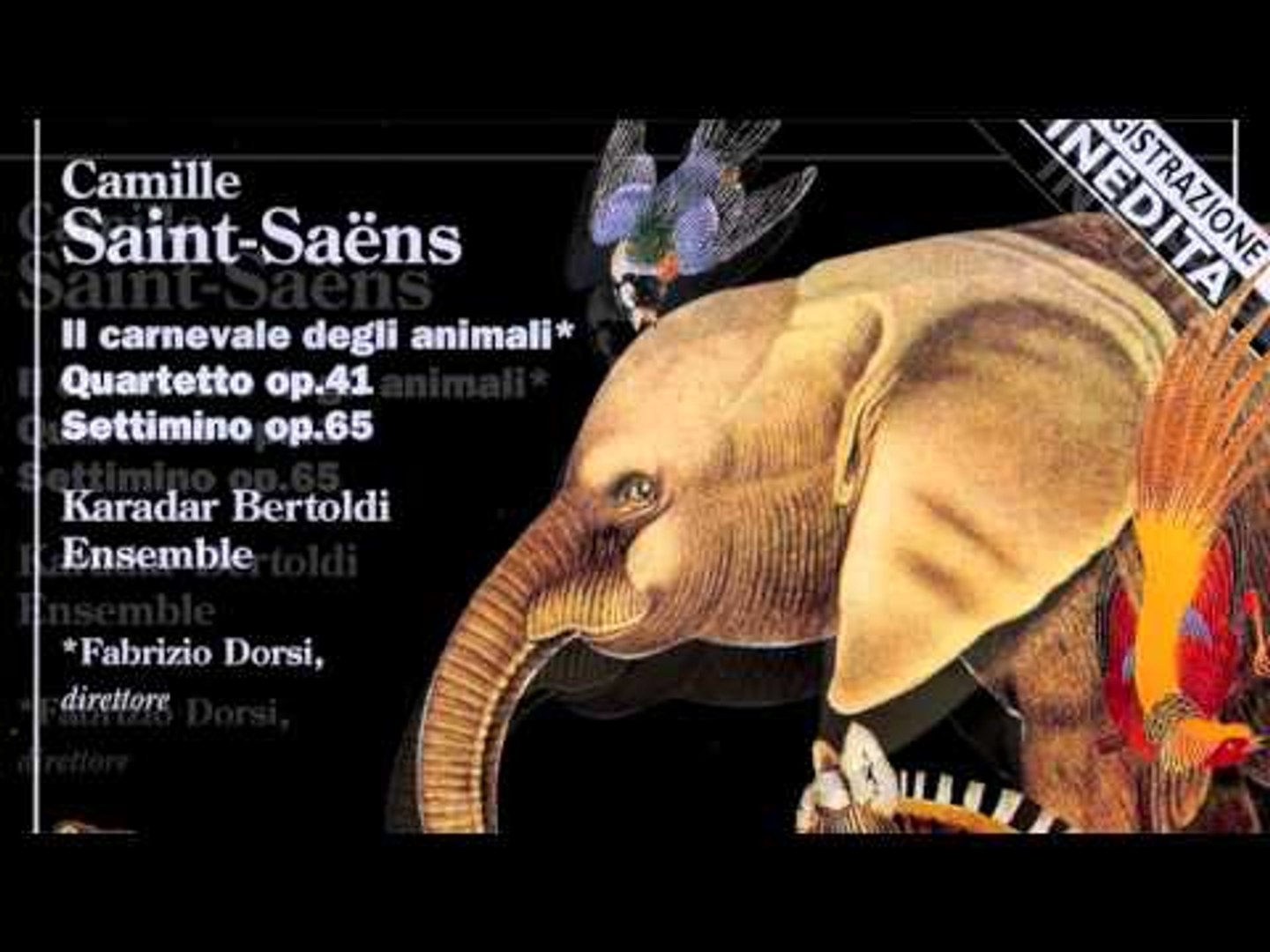 Il Carnevale Degli Animali - Galline e galli - Camille Saint-Saëns - Video  Dailymotion