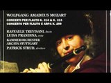 Wolfgang Amadeus Mozart - Allegro - Concerto per Flauto, Arpa e Orchestra in do Maggiore K. 299