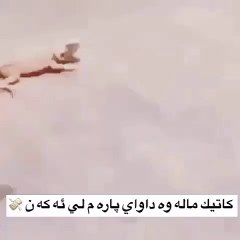 VID-20160810-WA0012[1]