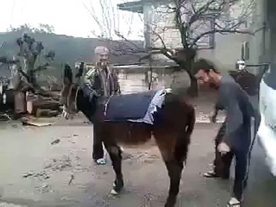 funny man
