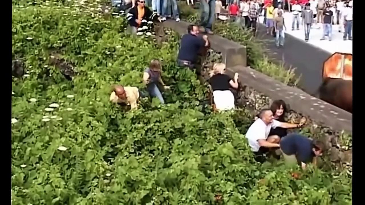 Funny Videos 2016 - Funny Videos Girls - Funny Pranks - Try Not To Laugh Or Grin of July #13