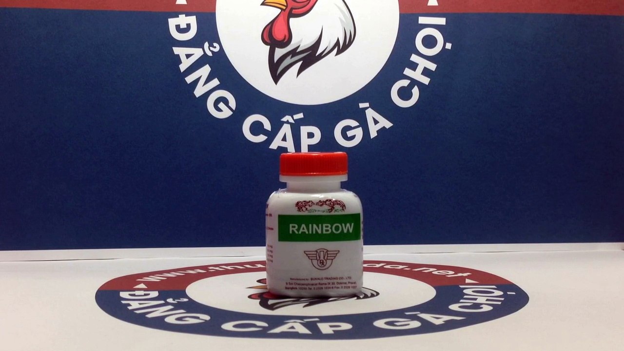 Rainbow, Thuốc nuôi gà đá mau lên hình, nhanh ra lông, xương cứng cáp của Thái Lan