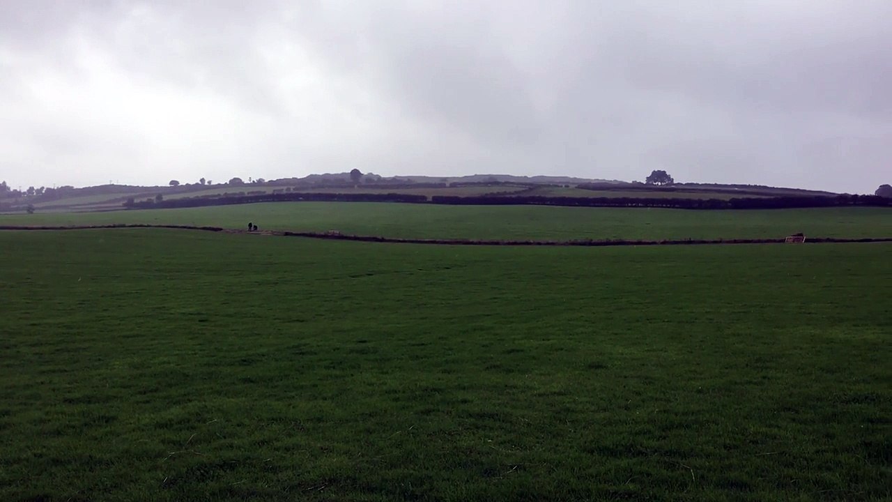 View of the 2016 Irish National trial field