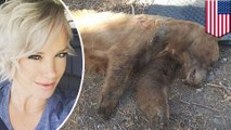 Bear lives matter: Woman threatened by neighbors for shooting bear intruder - TomoNews