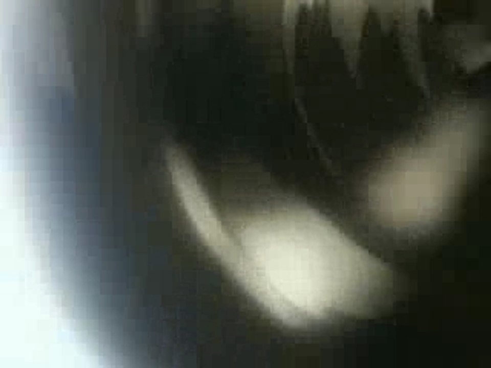 AMV_Tenjou_Tenge_by_saiyan_pride