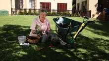 Love Your Garden - Hanging Basket
