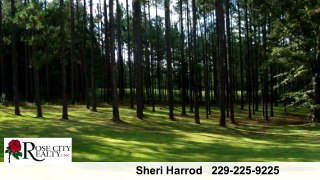 Lots And Land for sale - 0000 Andrews Lane, Cairo, GA 39828