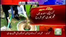 Murad Ali Shah inaugurates tree plantation campaign