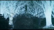 Final Fantasy 7 Advent Children - Naruto