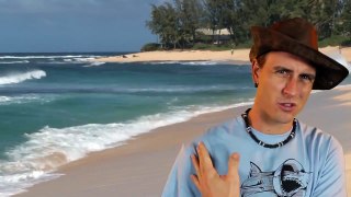 Shark Attacks German Tourist in Hawaii   Bites off Arm!