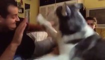 Il teste son chien en attaquant sa copine... Il ne va pas etre déçu!