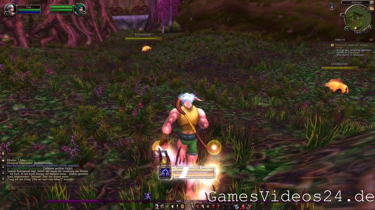 World of Warcraft Quest: Teldrassil: Gebt das Wissen weiter