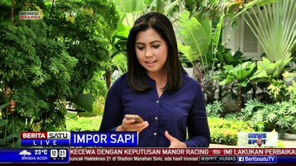 Pemerintah Menelaah Impor Sapi dari Amerika Latin
