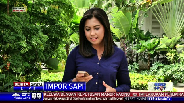 Pemerintah Menelaah Impor Sapi dari Amerika Latin