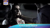'Tum Yaad Aaye' Tonight Last Episode at 09:00 PM - Only on ARY Digital