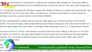 Mexico central bank seen holding key rate as peso stabilizes