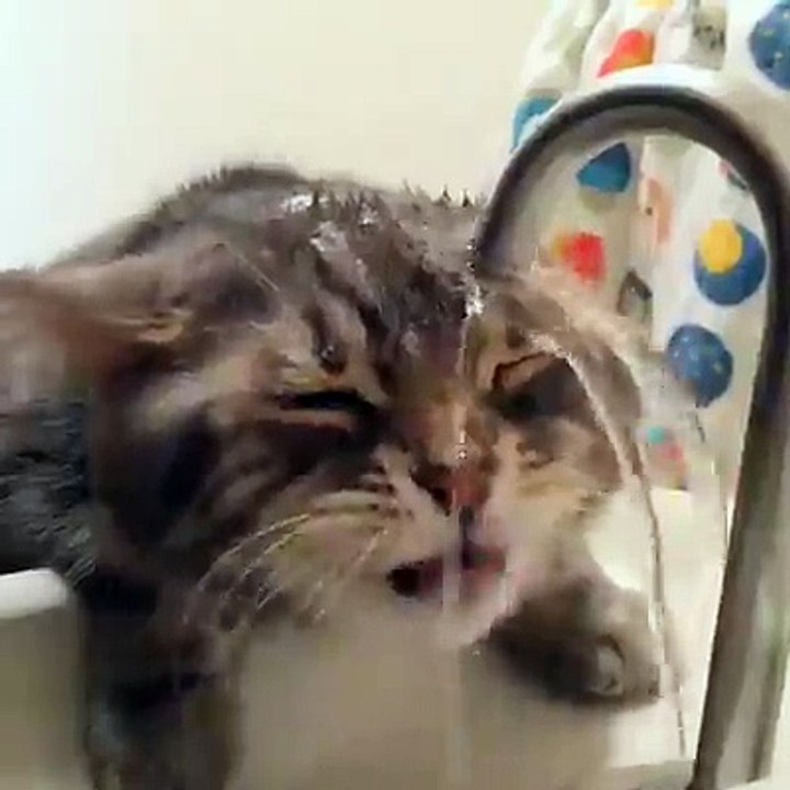 Water lover