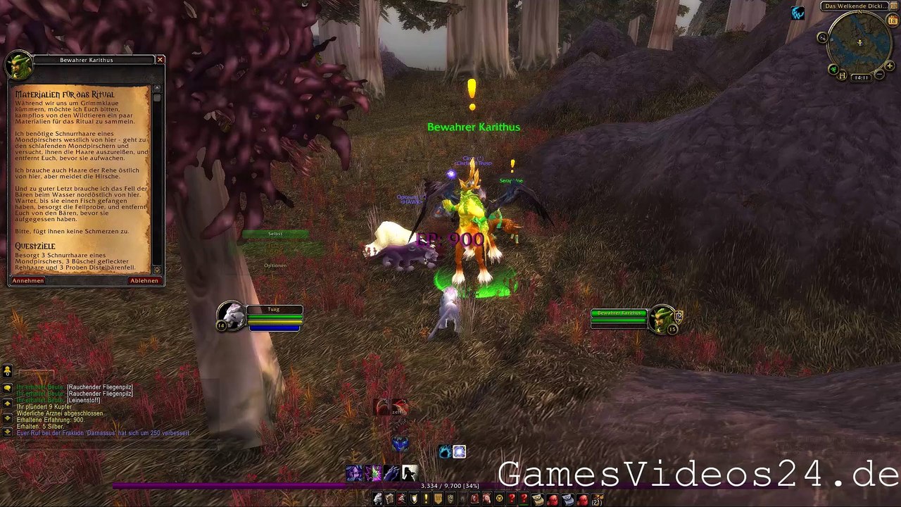 World of Warcraft Quest: Materialien für das Ritual (Allianz)