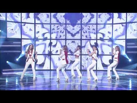 카라 숙녀가 못 돼 쇼챔피언 80회