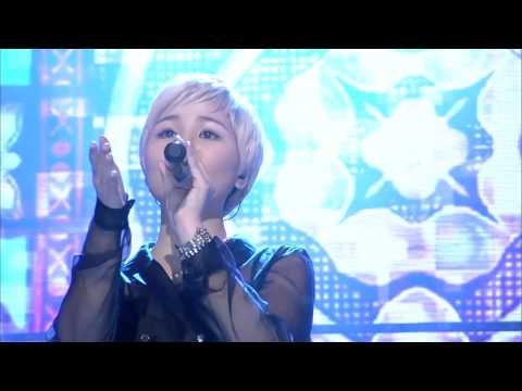 알리 지우개 쇼챔피언 49회