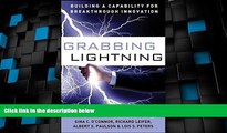 READ FREE FULL  Grabbing Lightning: Building a Capability for Breakthrough Innovation  READ Ebook