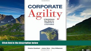 READ FREE FULL  Corporate Agility: A Revolutionary New Model for Competing in a Flat World  READ