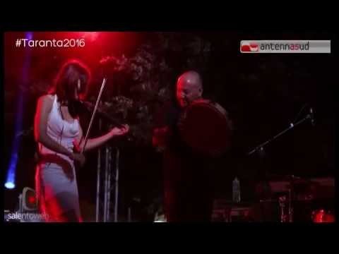 Tg Antenna Sud - Notte della Taranta, in 500mila per ballare la pizzica