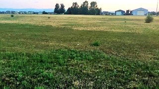 Homes for sale - 0 TBD GW Bush and Frontage, Wellington, CO 80549