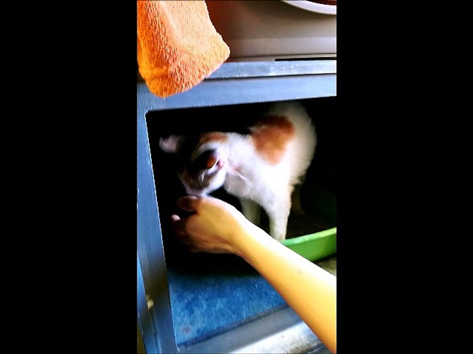 Minette un amour! 3