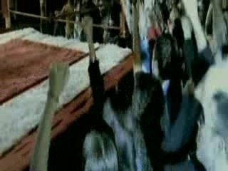 Junior Jack - Stupidisco