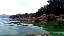 4k, Full HD, Ultra HD, Ubatuba, SP, Brasil, mergulhando com as tartarugas marinhas, corais, peixes e vida marinha, Marcelo Ambrogi, agosto de 2016, (17)