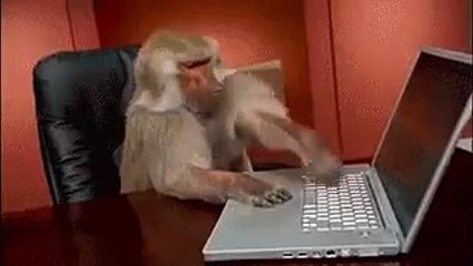 bumper.mp4
