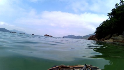 4k, Full HD, Ultra HD, Ubatuba, SP, Brasil, mergulhando com as tartarugas marinhas, corais, peixes e vida marinha, Marcelo Ambrogi, agosto de 2016, (33)