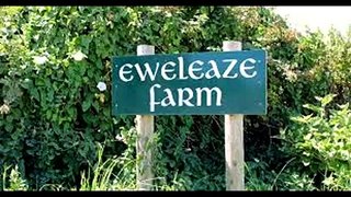 Eweleaze farm 2016