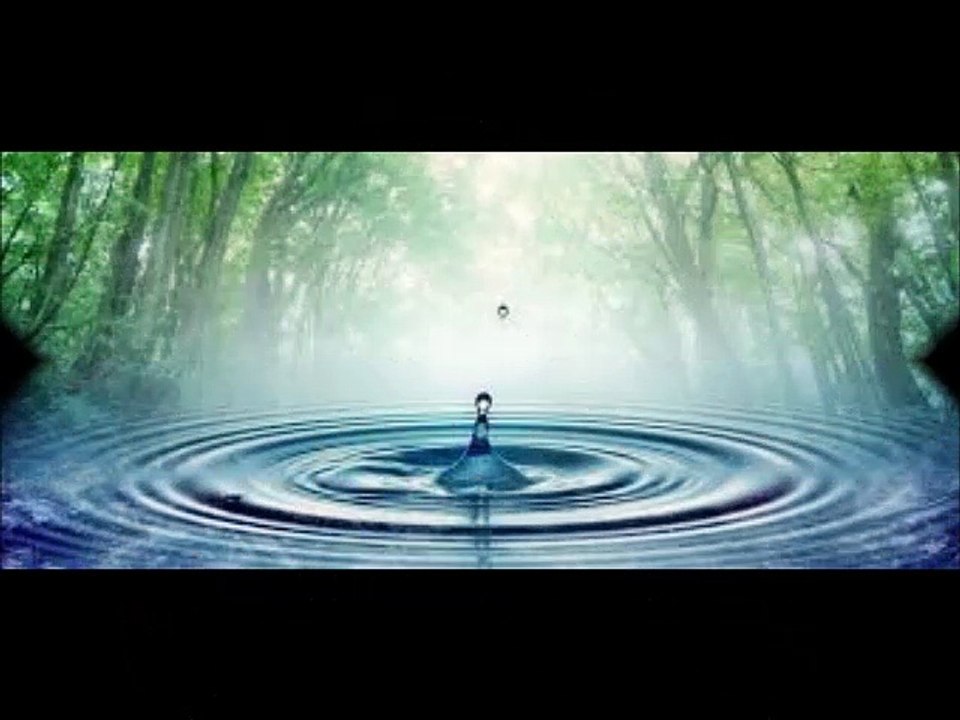 An Environmental Water Monitoring Application