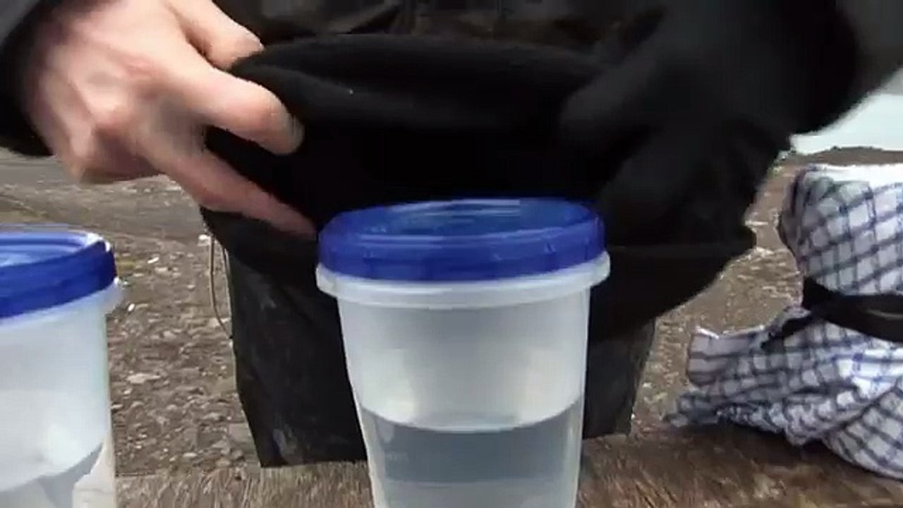 Keeping Warm Experiment - Frozen Oceans - Arctic