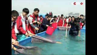 3,000 Chinese Rare Fish Species Set Free into Yangtze River