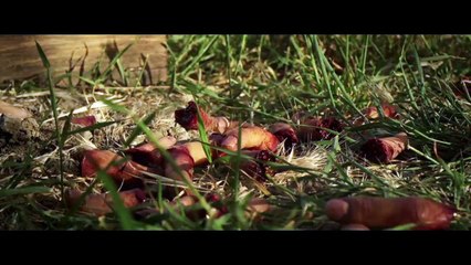 Here Comes The Devil - VO