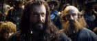 Le Hobbit : La Désolation de Smaug - Teaser (11) VO