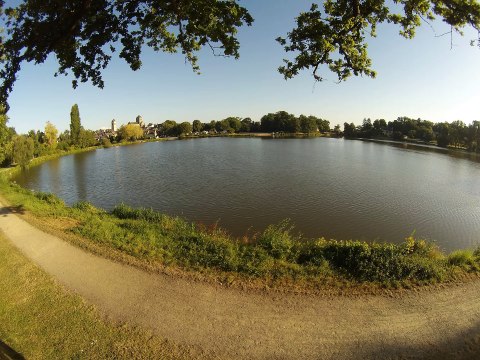 Etang de Saint Aubin du Cormier - 9 août 2016